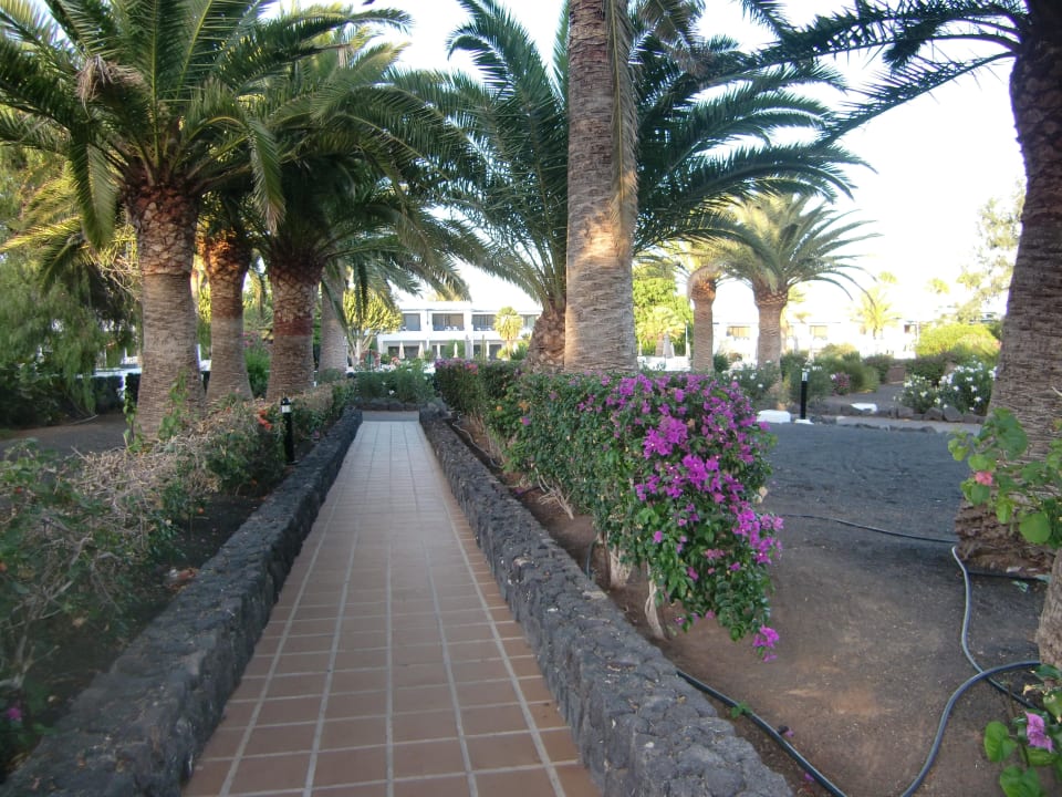 Gang zu den Appartments Relaxia Olivina