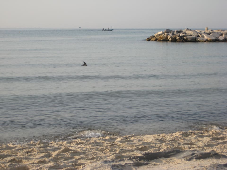 Direkt am Strand Royal Lido Resort & Spa