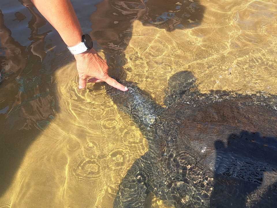 Außenansicht Hotel Defne Garden
