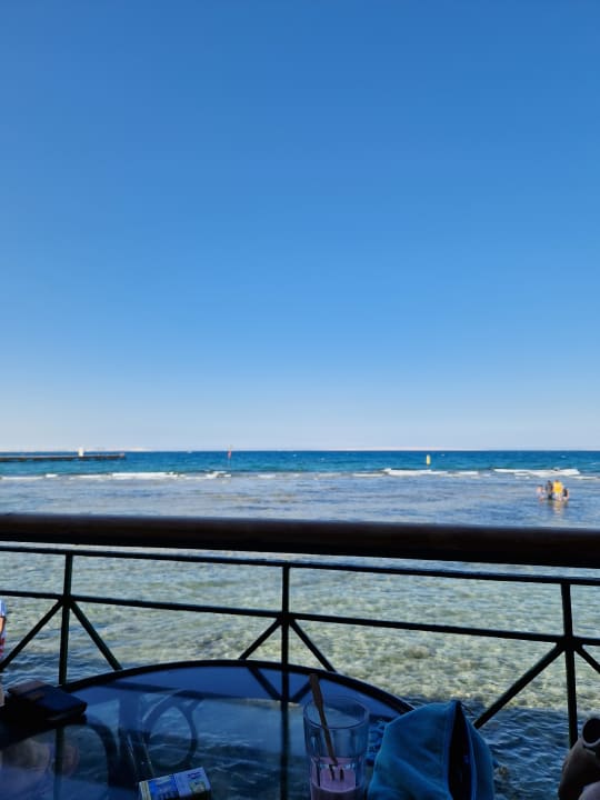 Ausblick Desert Rose