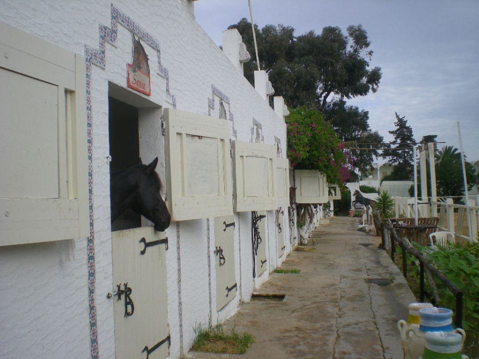 Die Stallungen The Orangers Beach Resort and Bungalows