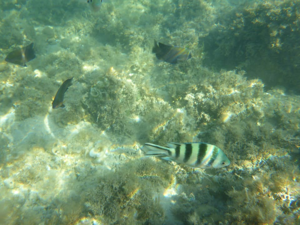 Sonstiges Steigenberger Aqua Magic