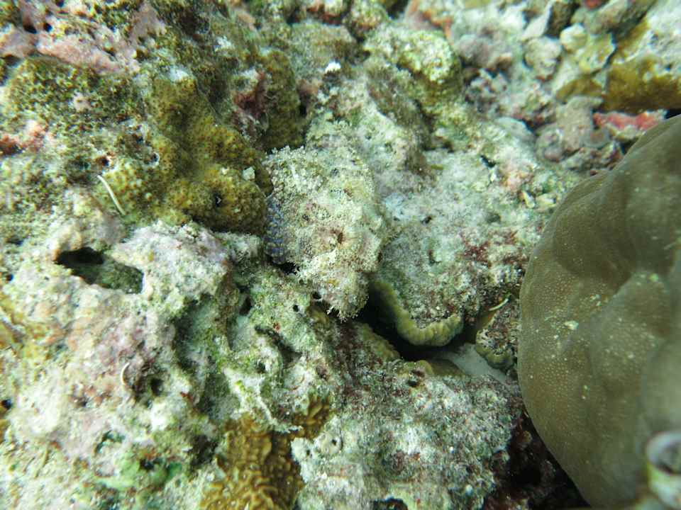 Strand NH Collection Maldives Reethi Resort