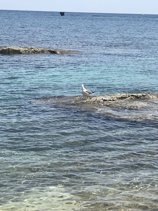 Strand Hotel Serita Beach