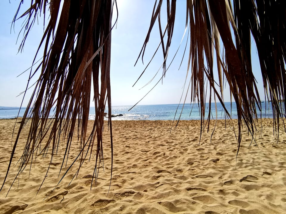 Strand Asterias Beach