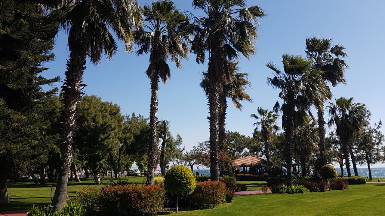 Gartenanlage TUI MAGIC LIFE Beldibi +16