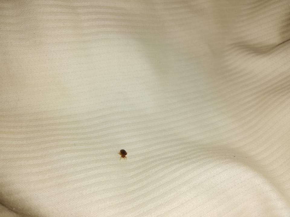 Zimmer City Hotel Köln am Neumarkt