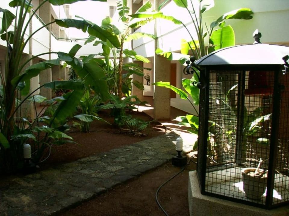 Gang zu den Zimmern Playa Dorada Dreams Lanzarote Playa Dorada Resort & Spa