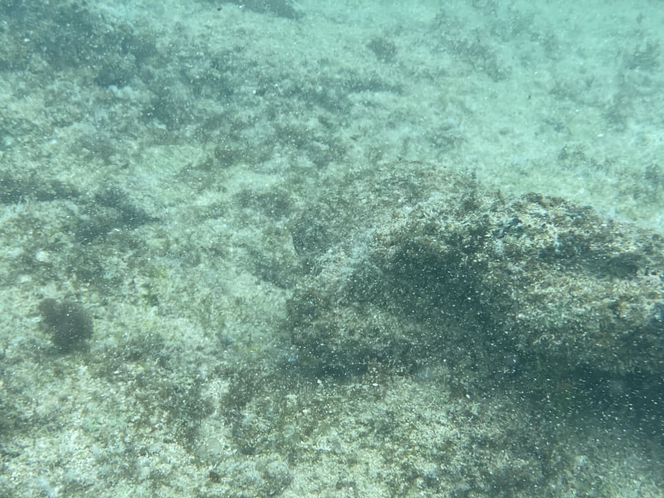 Strand Hotel Riu Turquoise