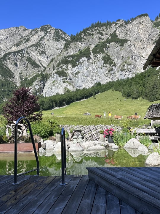 Ausblick Gramai Alm alpengenuss & natur spa