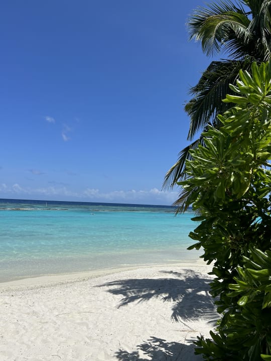 Strand Kuramathi Maldives