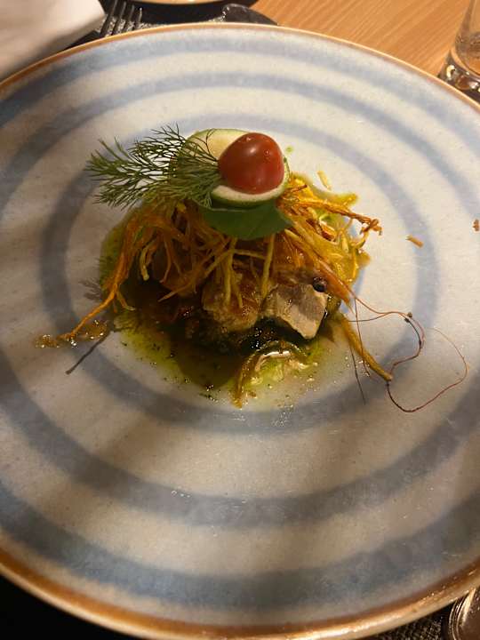 Gastro JAZ Elite Amara