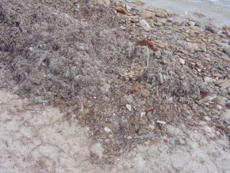 Strandabschnitt des Hotels Djerba Castille