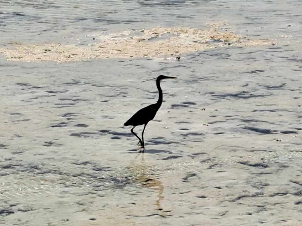 Strand Casa Mare Resort