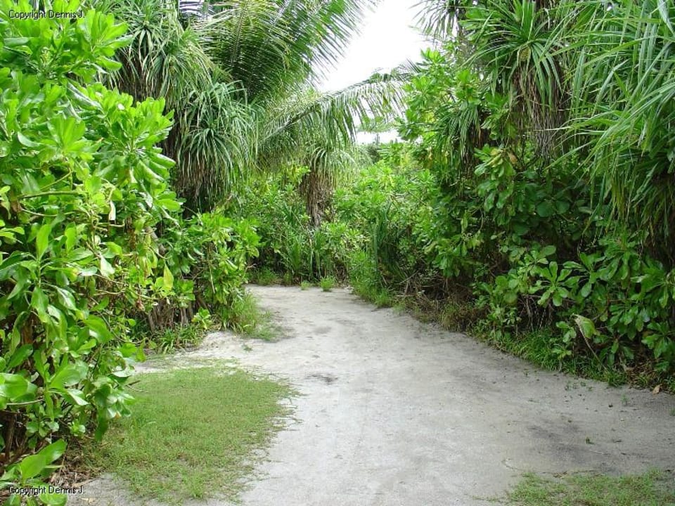 Inselrundgang Adaaran Select Meedhupparu Island Resort - Premium All Inclusive