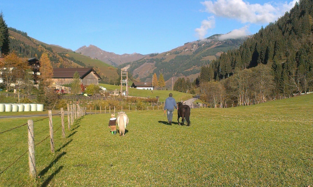 Pferde von der Weide holen Ferienwohnungen Voglbachhof