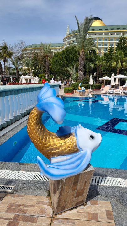 Pool Hotel Delphin Imperial