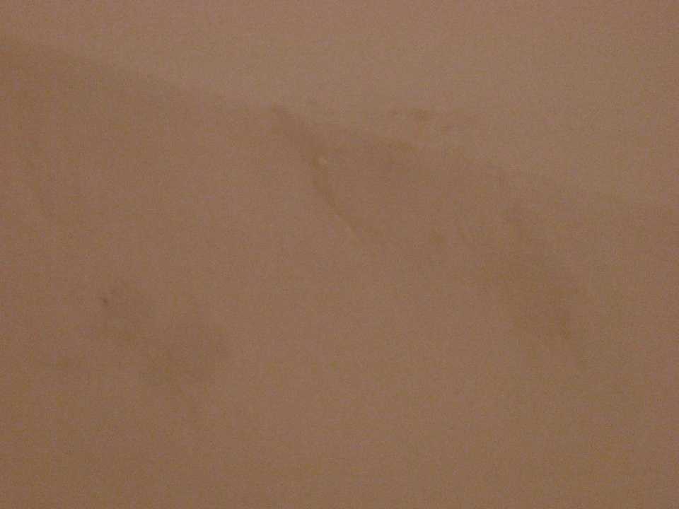 Feuchter Fleck Rivijera Villen & Dependance Flora & Madera