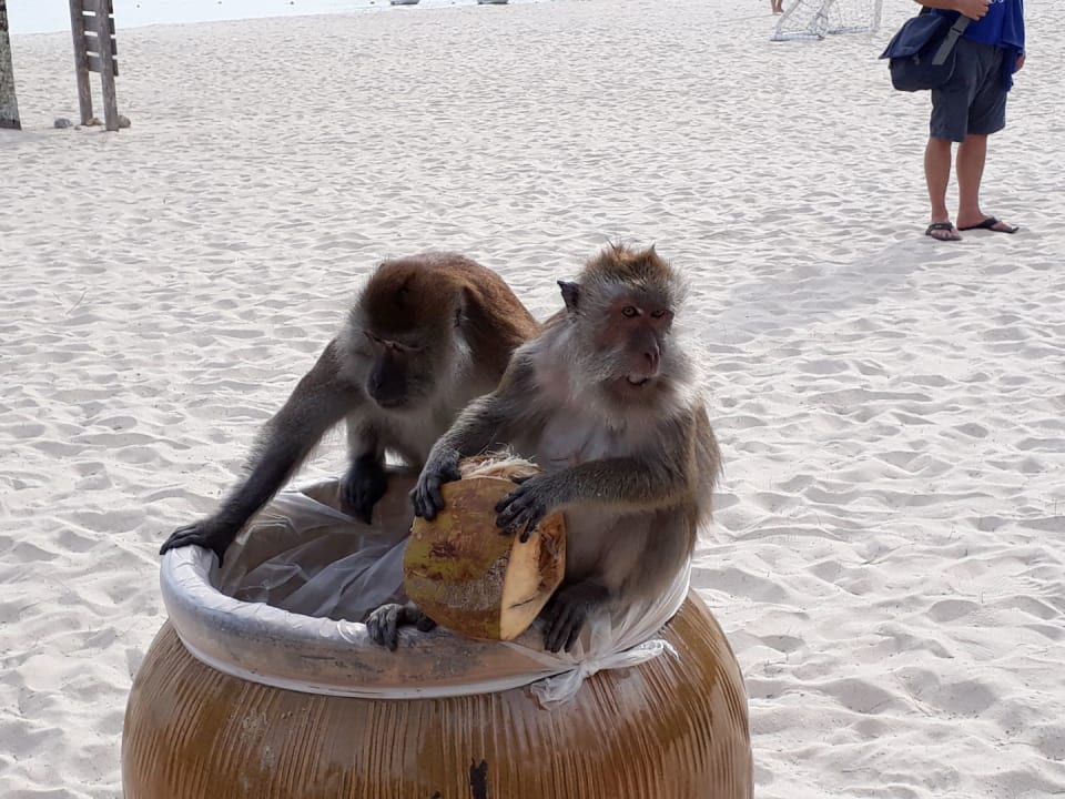 Strand Berjaya Langkawi Resort