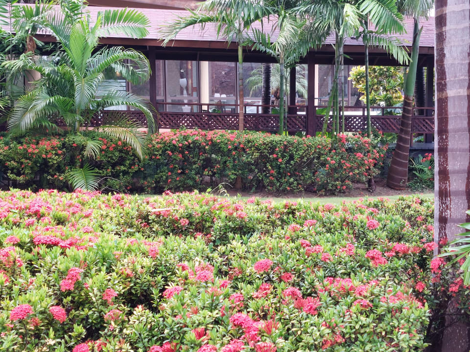 Gartenanlage Grand Palladium Select Bávaro Resort & Spa