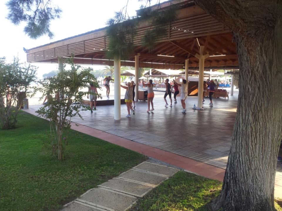 Club Med Bodrum Palmiye Club Med Bodrum Palmiye