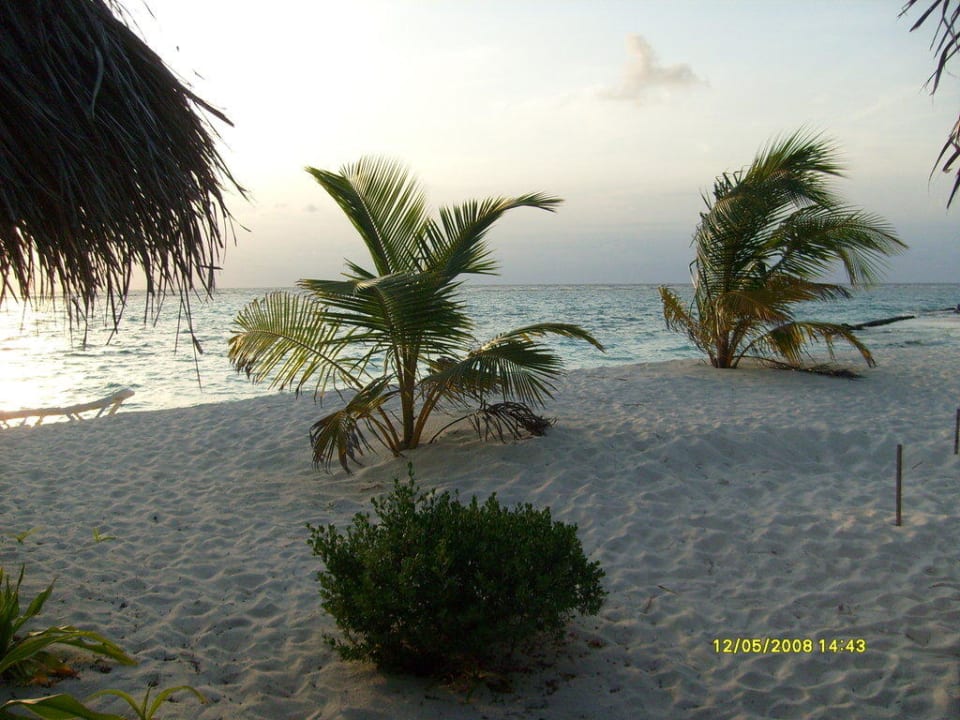 Strand Summer Island Maldives