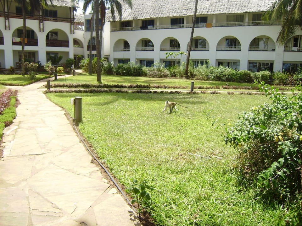 Zimmer zum Garten Reef Hotel Mombasa