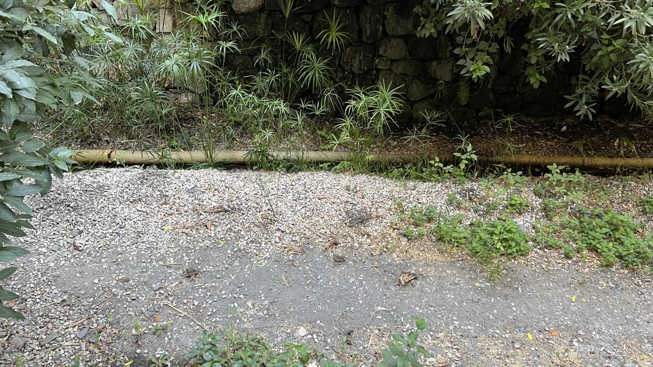 Gartenanlage Hotel Ayaz Aqua