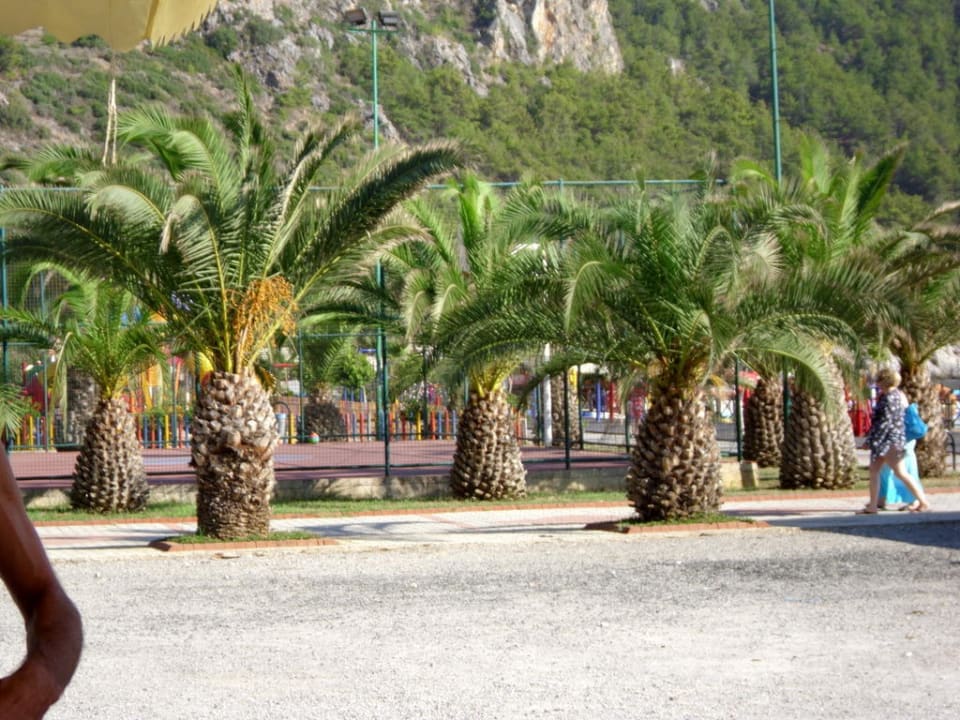 Teil der Paranlage vor dem Hotel Hotel Kahya