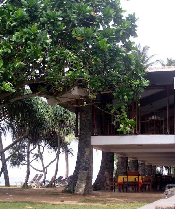 Restaurant rechts vom Pool Hotel Koggala Beach