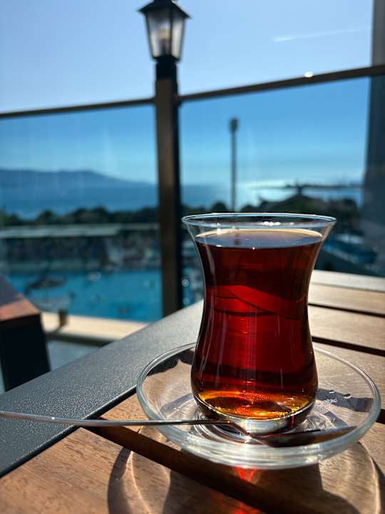 Gastro Maxeria Blue Didyma