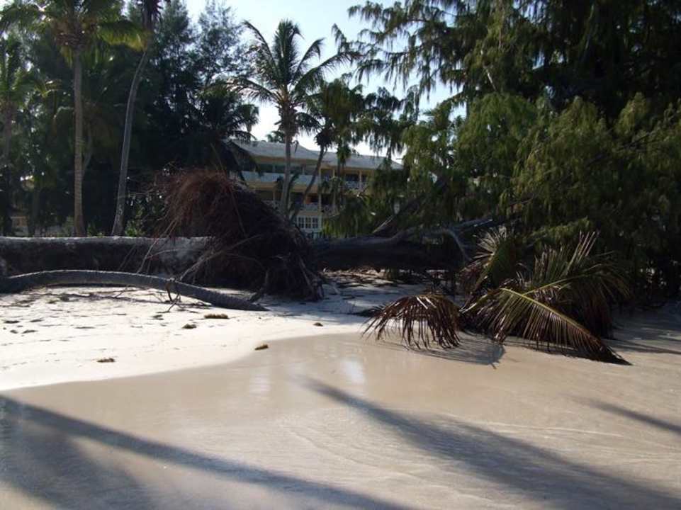 Zerstörung am Strand whala!bávaro