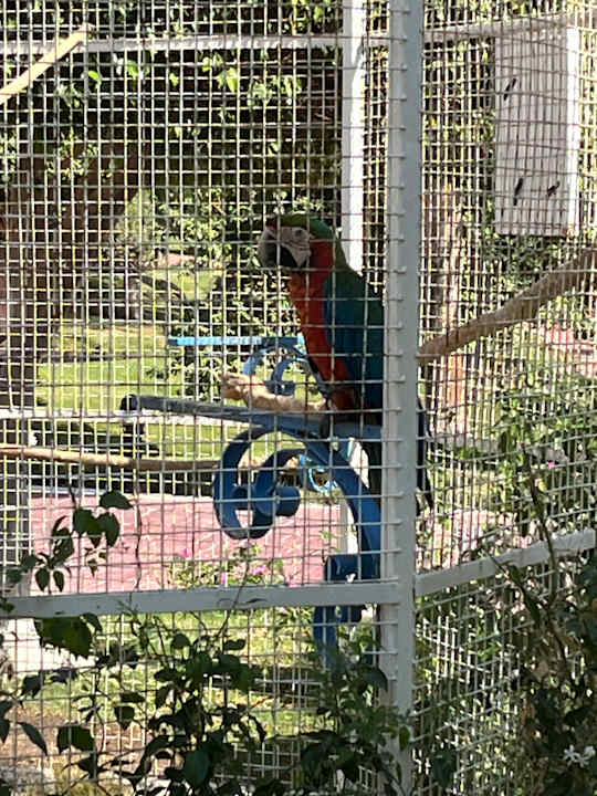 Gartenanlage Serenity Alpha Beach