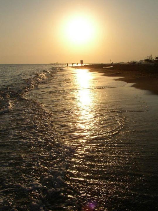 Sonnenuntergang am Meer Papillon Belvil