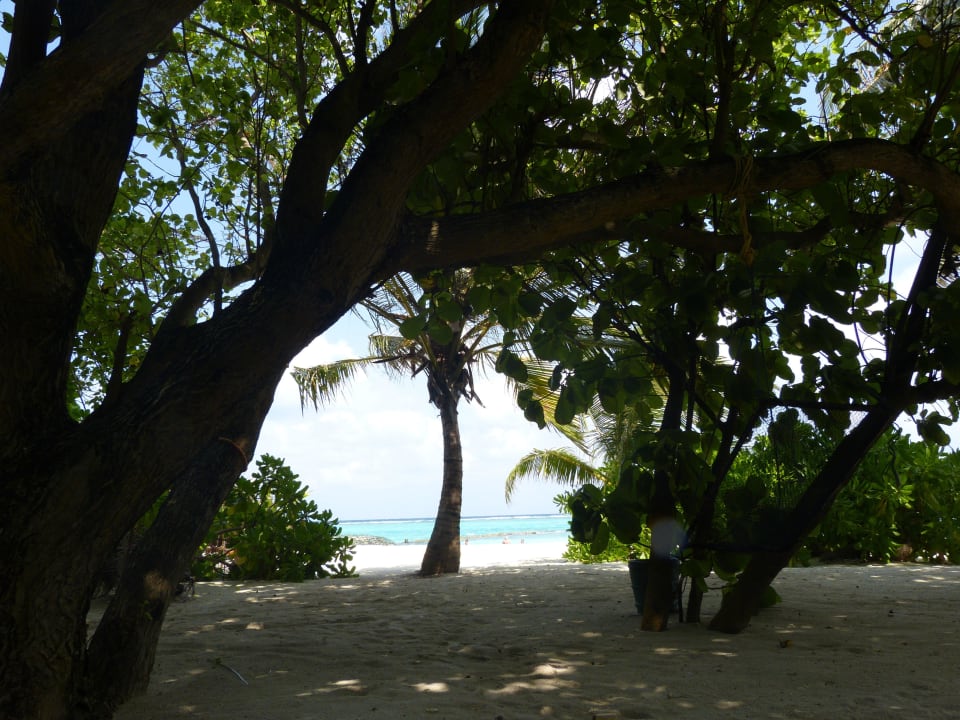 Superiorbungalow 226 Summer Island Maldives