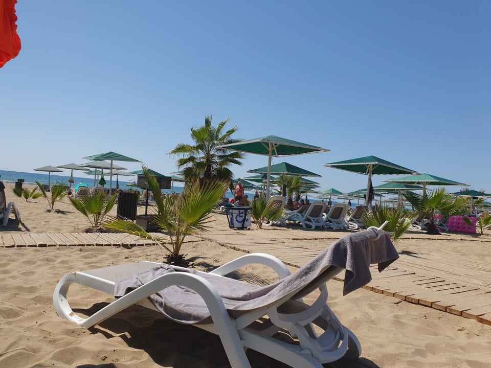 Strand Paloma Oceana