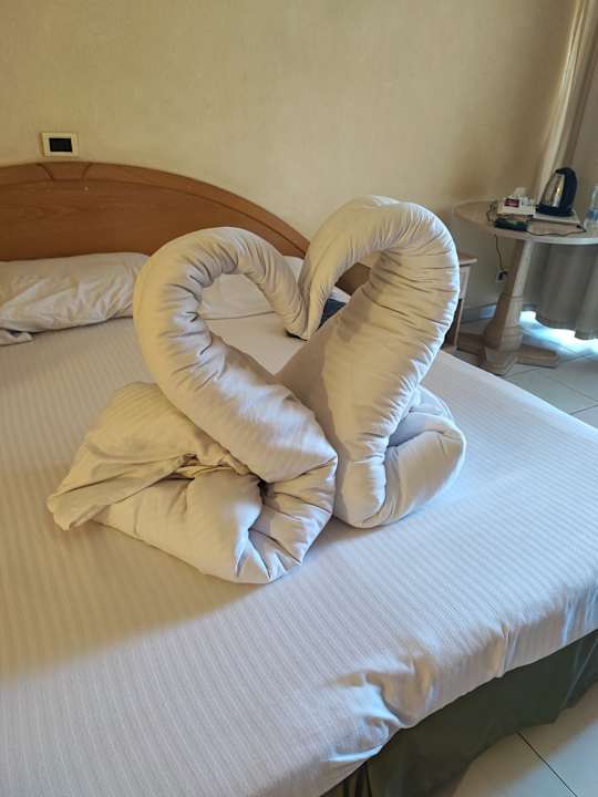 Zimmer Ghazala Gardens