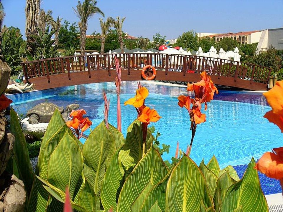 Am großen Pool Sunis Kumköy Beach Resort Hotel & Spa