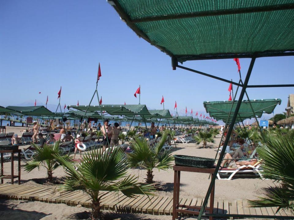 Am Strand um 11.45 Hotel Delphin Palace