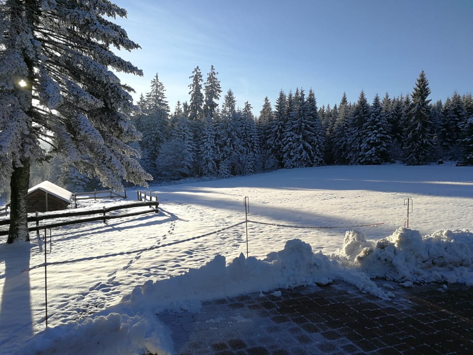 Ausblick Natur und Sporthotel Zuflucht