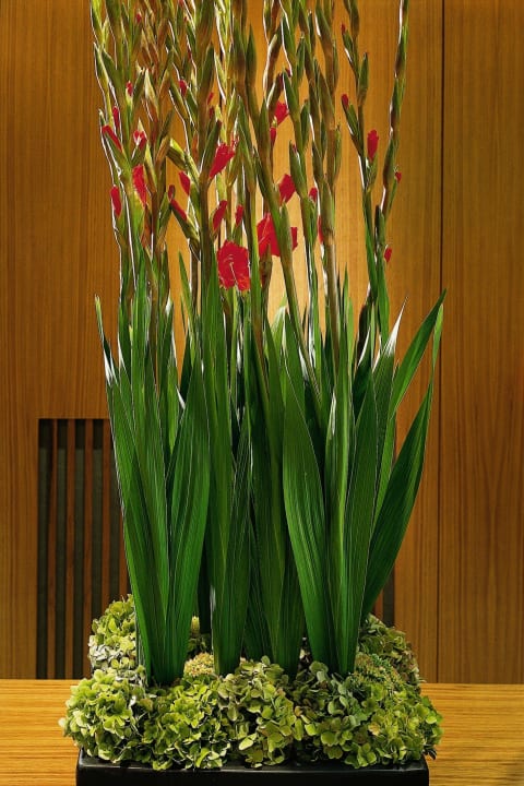 Hotel Lobby K+K Hotel Maria Theresia