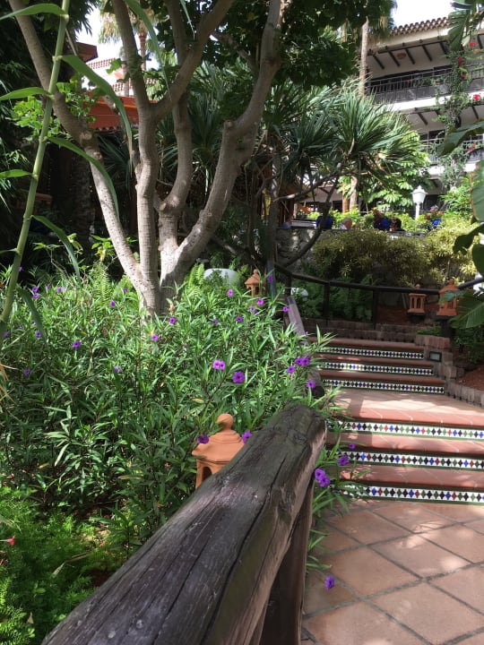 Gartenanlage Hotel Parque Tropical