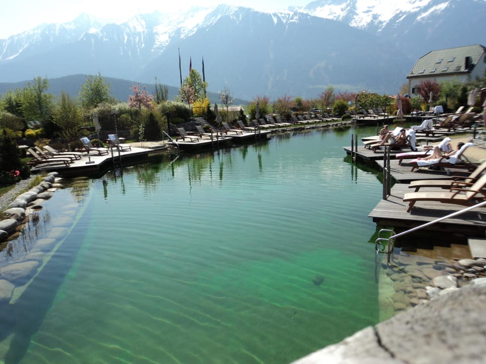 Pool Teich mit der Natur eng verbunden Alpenresort Schwarz