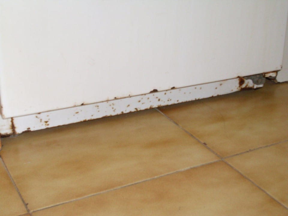 Kühlschrank Servatur Alameda de Jandía