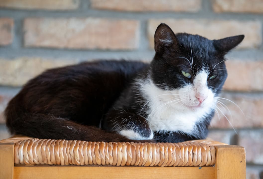 Sonstiges Honigtal Farmland