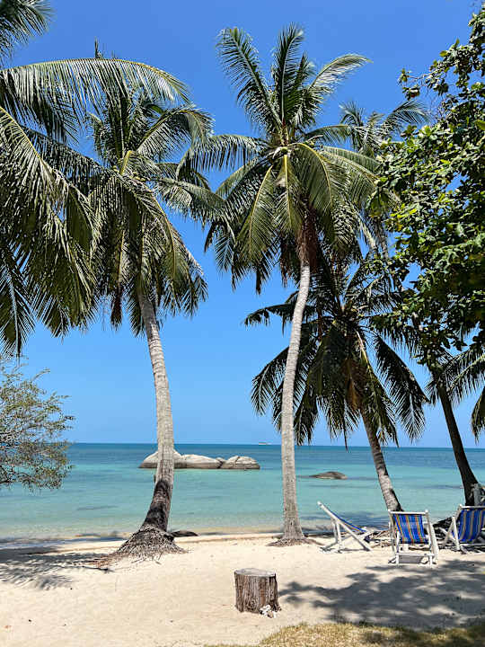 Strand Hotel Sea Scene Resort