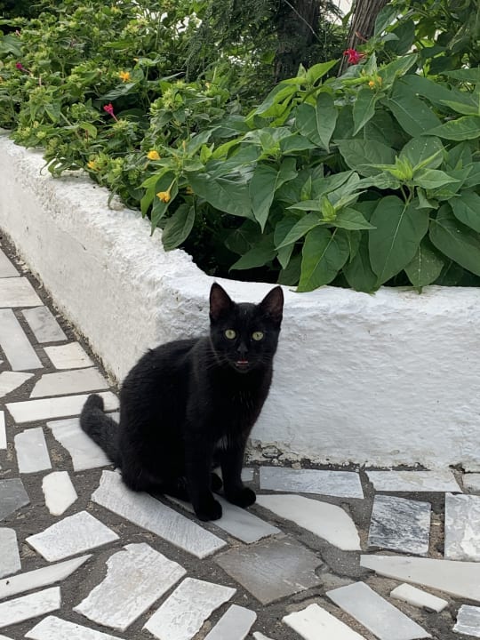 Sonstiges Hotel Imperial Med Resort & Spa