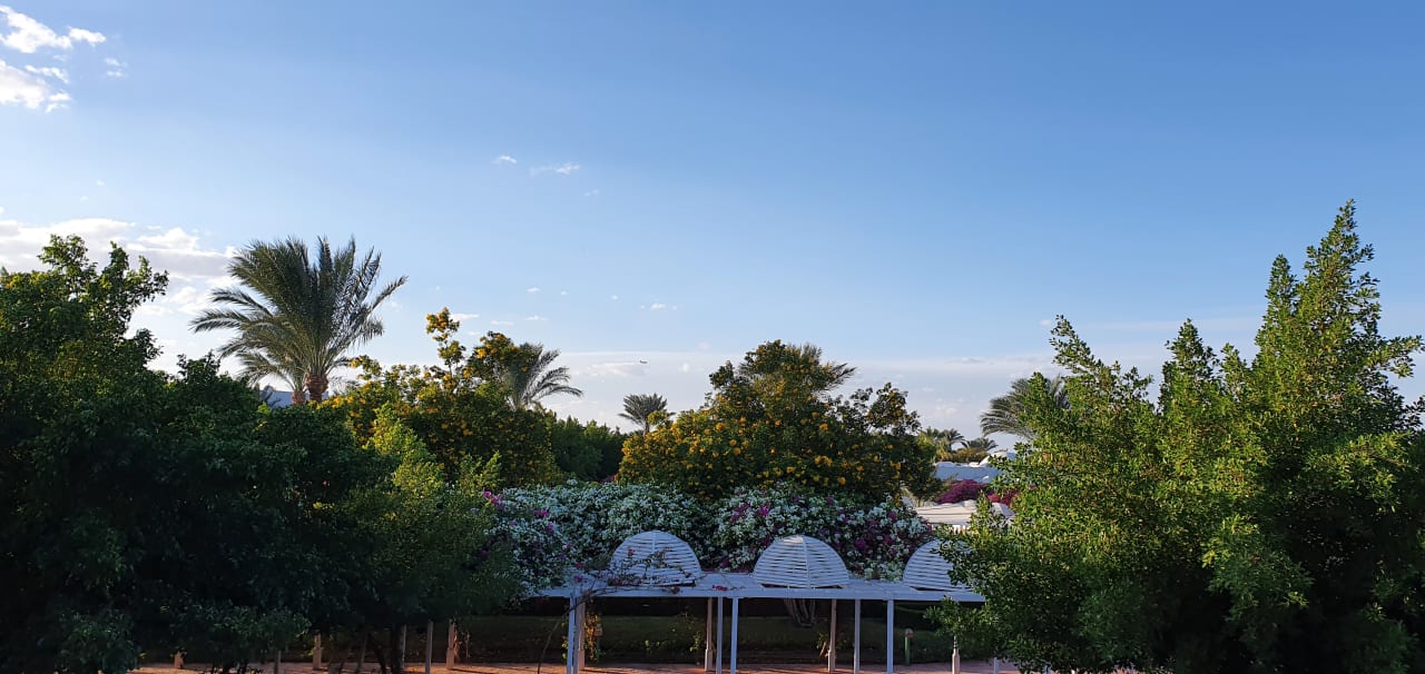 Ausblick Desert Rose