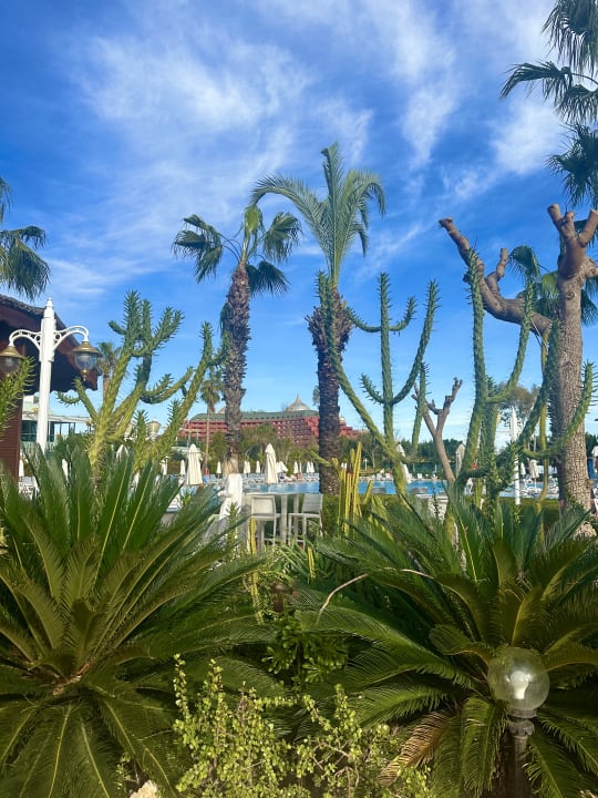 Gartenanlage Hotel Delphin Imperial