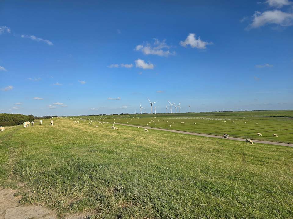 Ausblick Ferienhaus Hemenswarft direkt an der Nordsee mit Meerblick